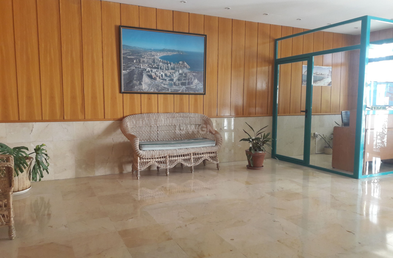 Reventa - Apartamento / piso - Benidorm - Costa Blanca