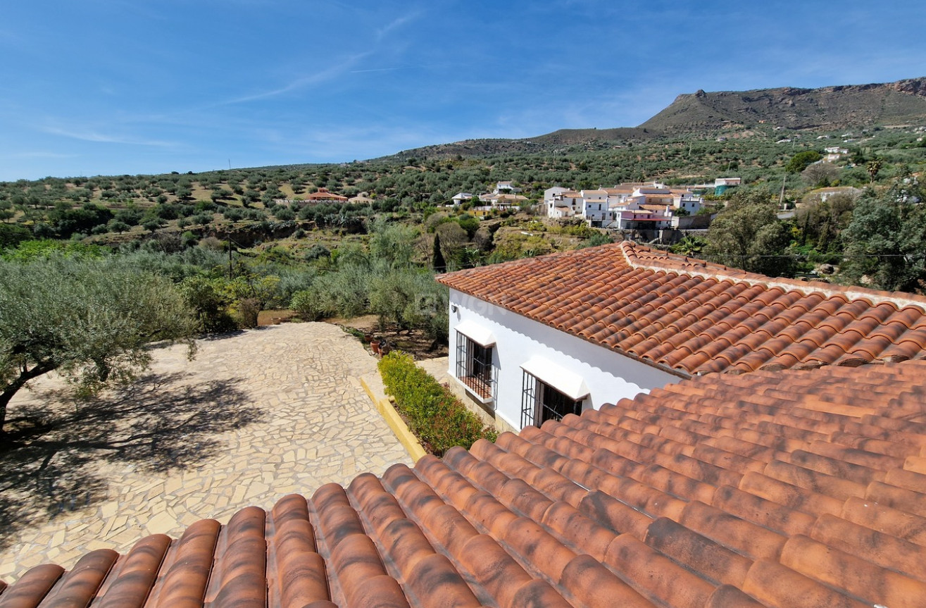 Resale - Villa - Alcaucín - Inland