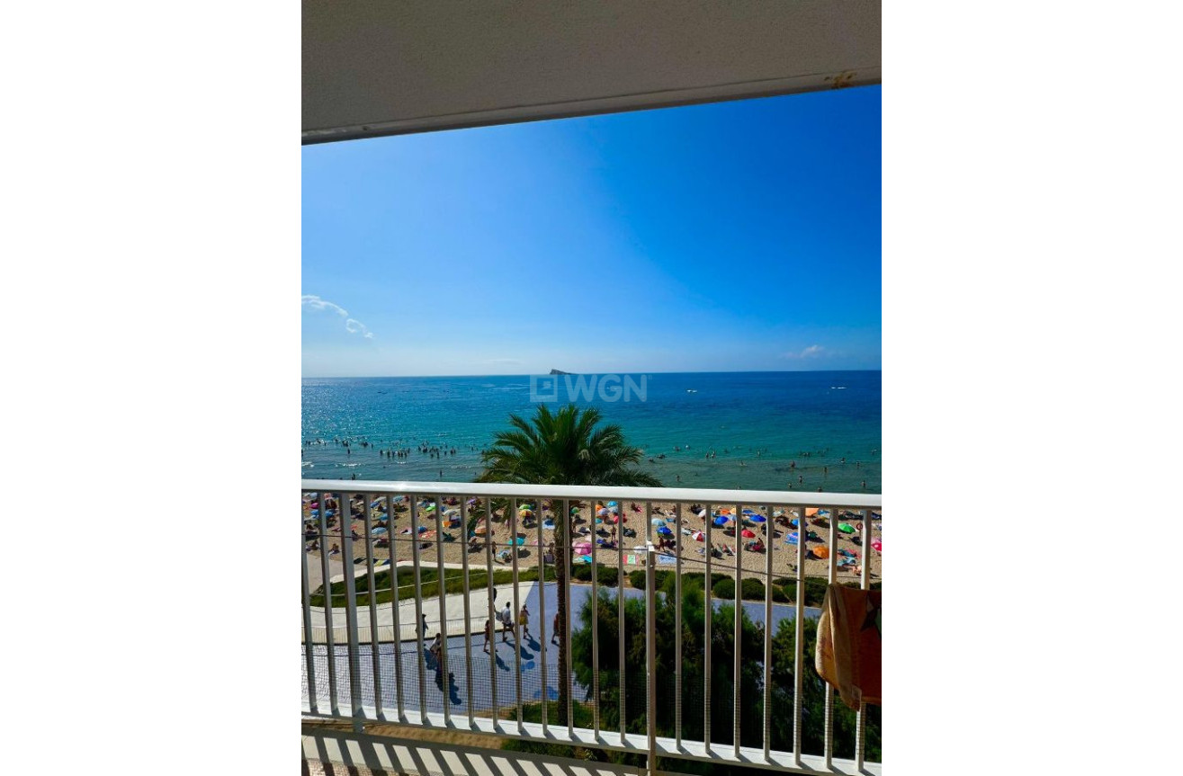 Resale - Apartment / flat - Benidorm - Costa Blanca