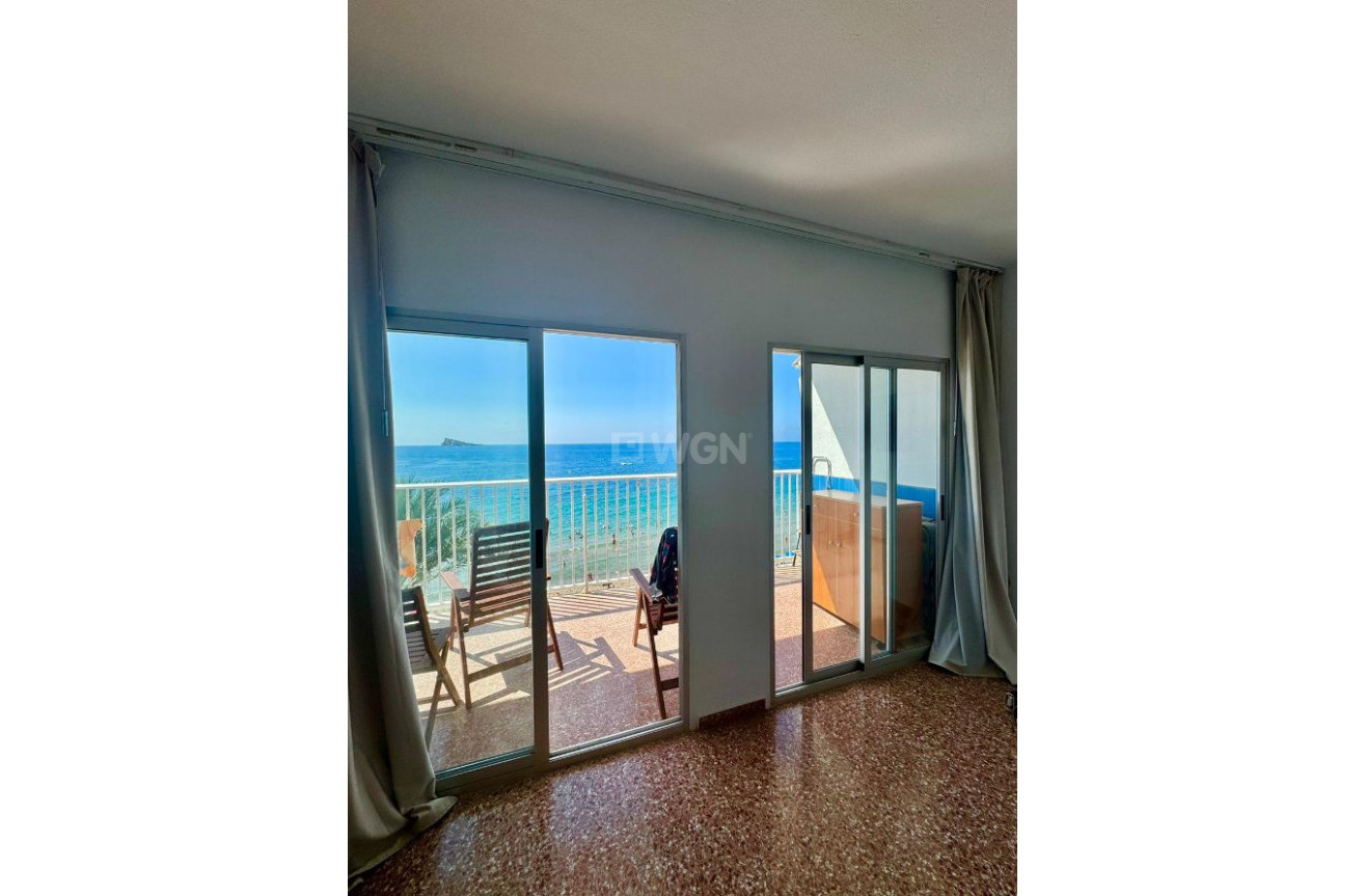 Reventa - Apartamento / piso - Benidorm - Costa Blanca