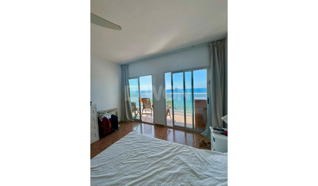 Reventa - Apartamento / piso - Benidorm - Costa Blanca