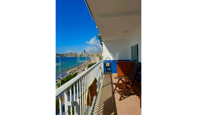 Reventa - Apartamento / piso - Benidorm - Costa Blanca