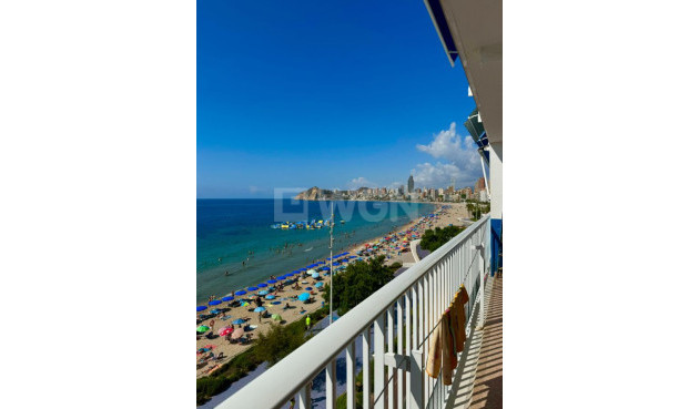 Resale - Apartment / flat - Benidorm - Costa Blanca