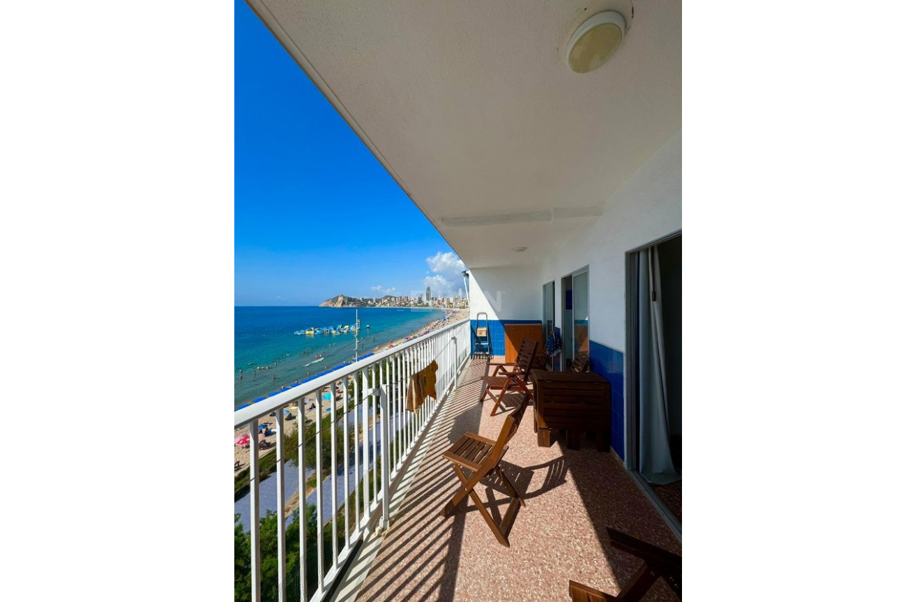 Reventa - Apartamento / piso - Benidorm - Costa Blanca