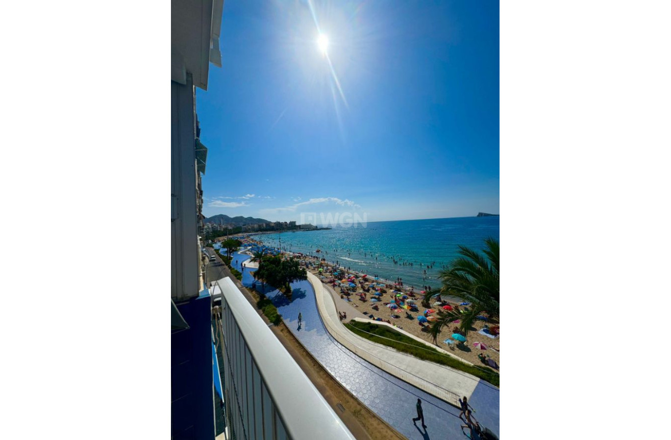 Resale - Apartment / flat - Benidorm - Costa Blanca