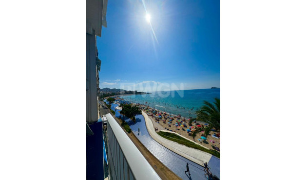 Resale - Apartment / flat - Benidorm - Costa Blanca