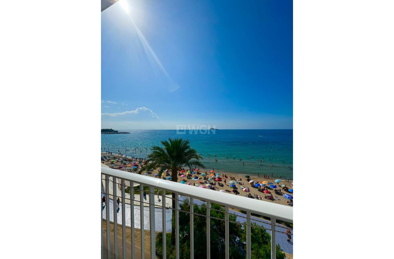 Reventa - Apartamento / piso - Benidorm - Costa Blanca