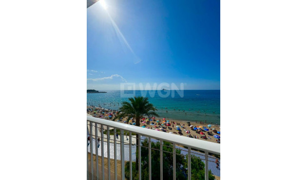 Reventa - Apartamento / piso - Benidorm - Costa Blanca