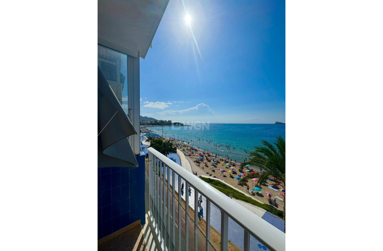 Reventa - Apartamento / piso - Benidorm - Costa Blanca