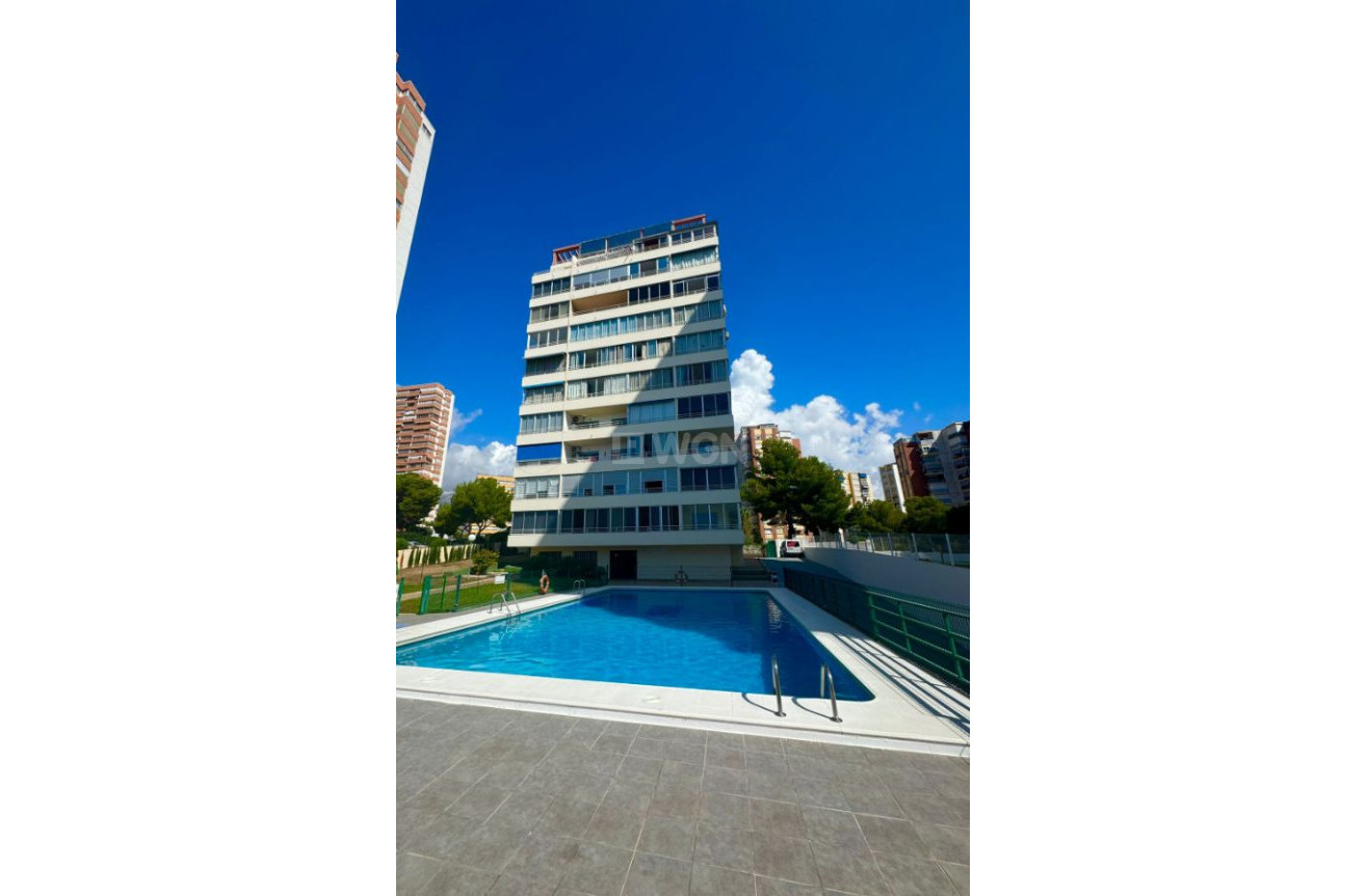 Reventa - Apartamento / piso - Benidorm - Costa Blanca