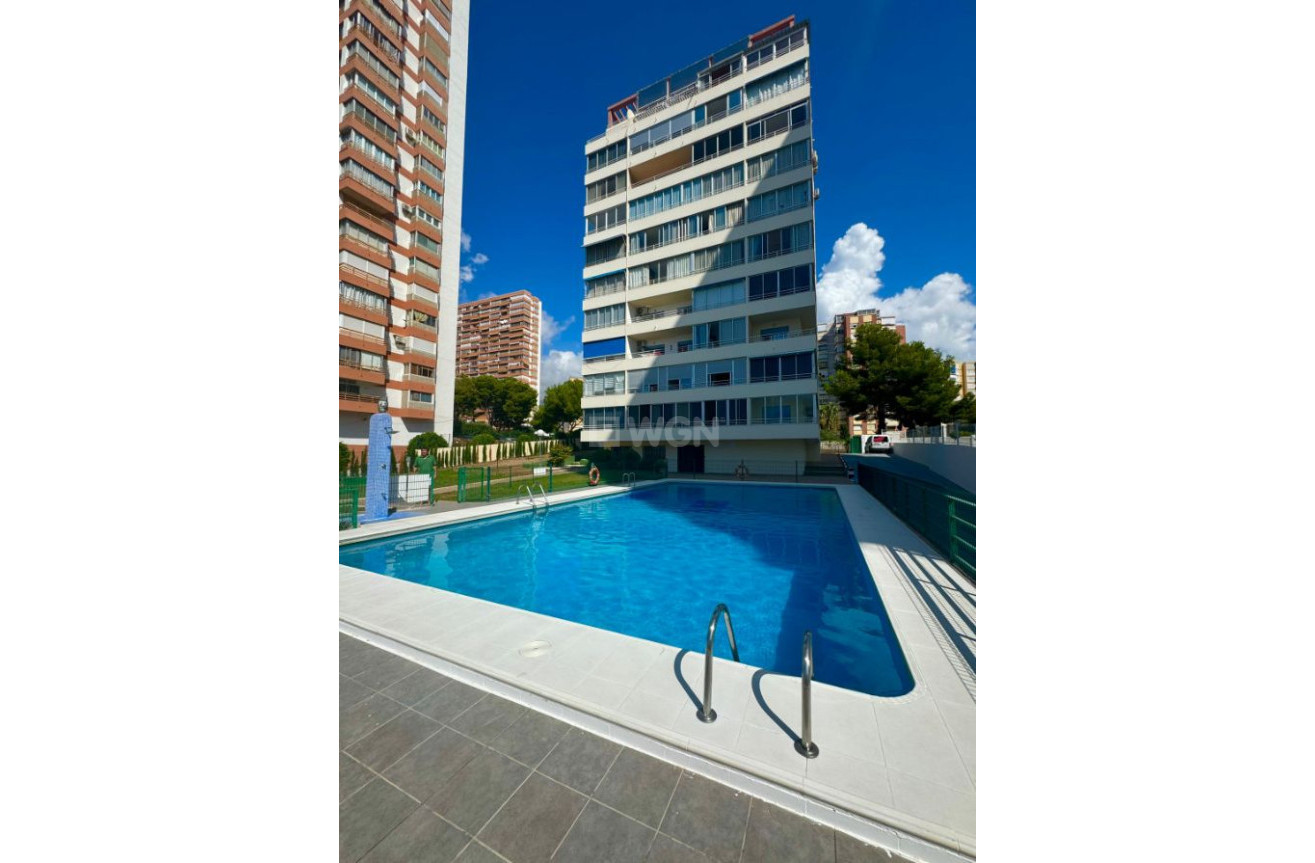 Reventa - Apartamento / piso - Benidorm - Costa Blanca