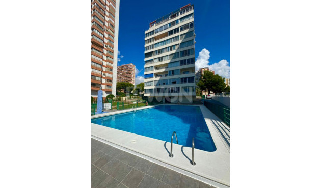 Reventa - Apartamento / piso - Benidorm - Costa Blanca