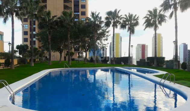 Reventa - Apartamento / piso - Benidorm - Costa Blanca