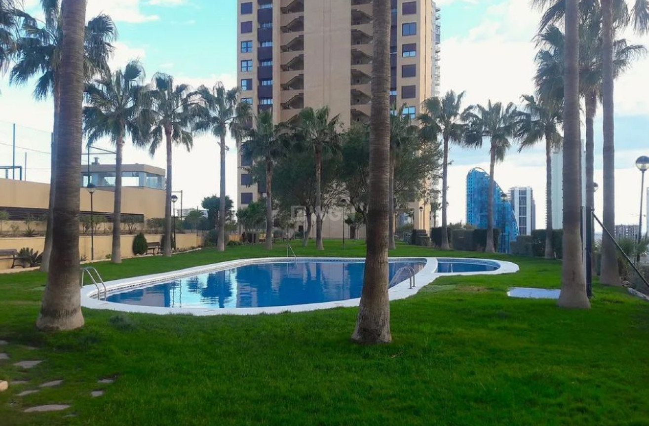 Reventa - Apartamento / piso - Benidorm - Costa Blanca