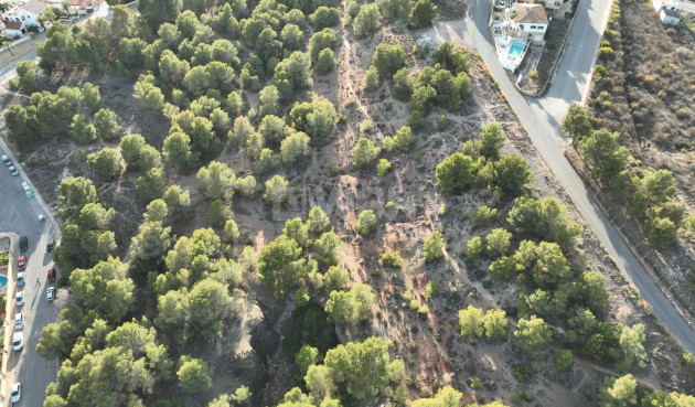 Obra nueva - Villa - L'alfas Del Pi - Escandinavia