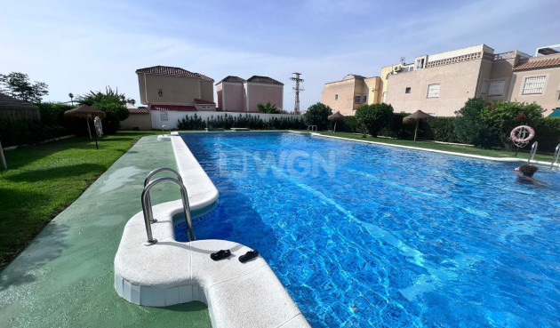 Resale - Apartment / flat - Torrevieja - Costa Blanca