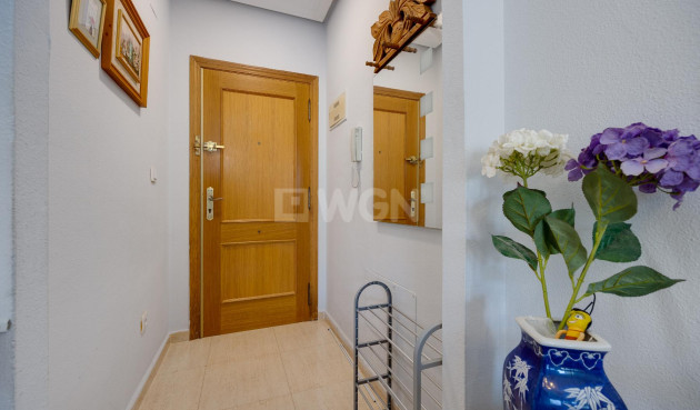 Resale - Apartment / flat - Torrevieja - Costa Blanca