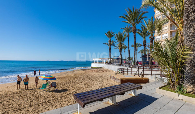 Odsprzedaż - Mieszkanie w bloku - Torrevieja - Costa Blanca