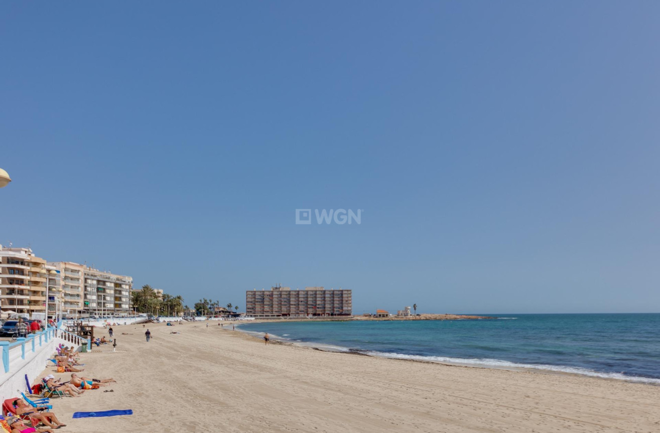 Reventa - Duplex - Torrevieja - Playa de los Locos