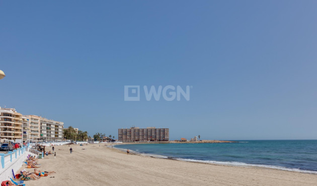 Reventa - Duplex - Torrevieja - Playa de los Locos