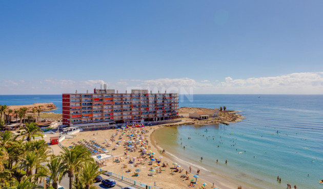 Resale - Duplex - Torrevieja - Playa de los Locos