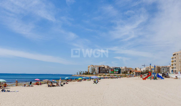 Resale - Duplex - Torrevieja - Playa de los Locos