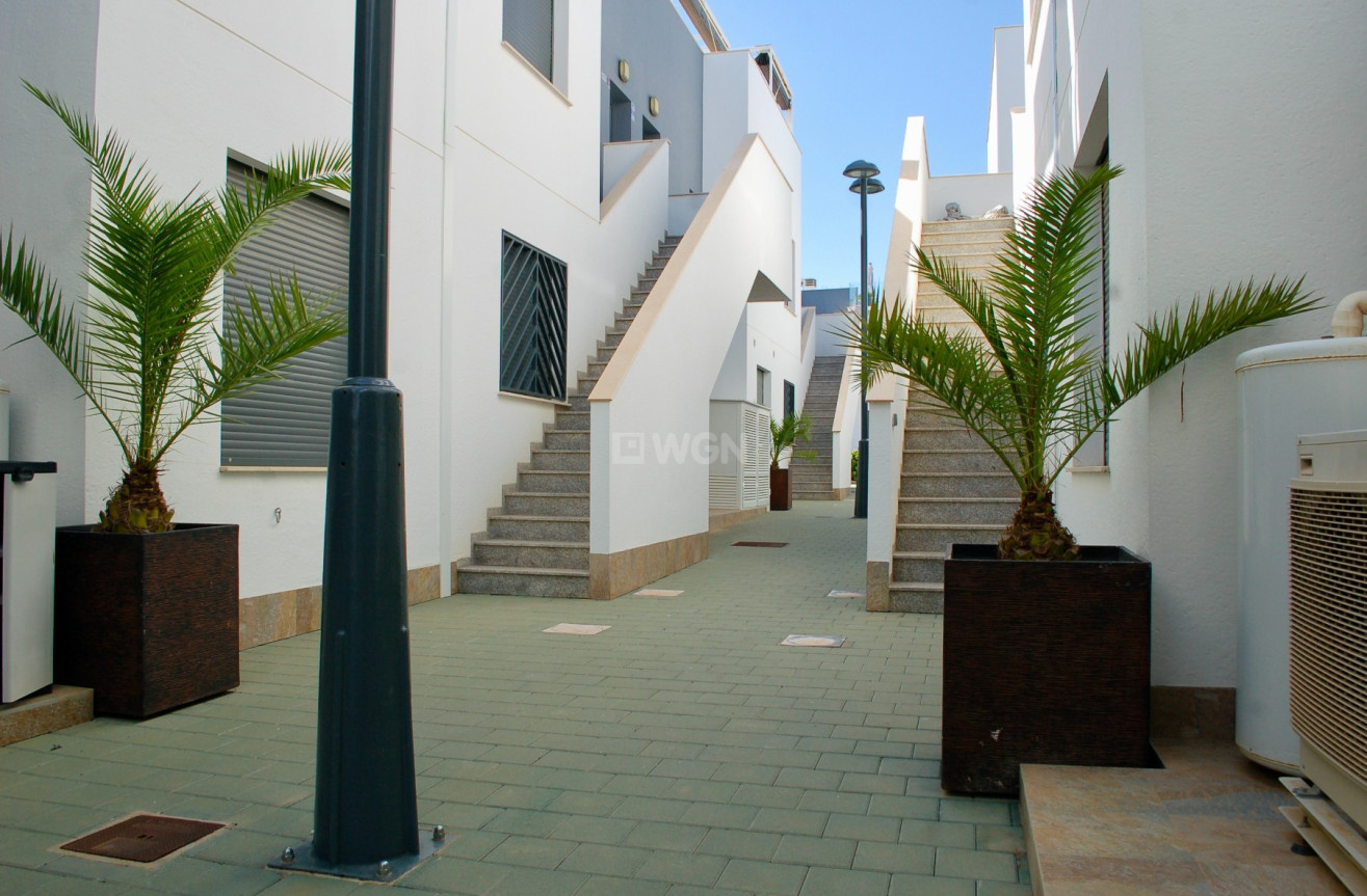 Resale - Bungalow - Pilar de la Horadada - Costa Blanca