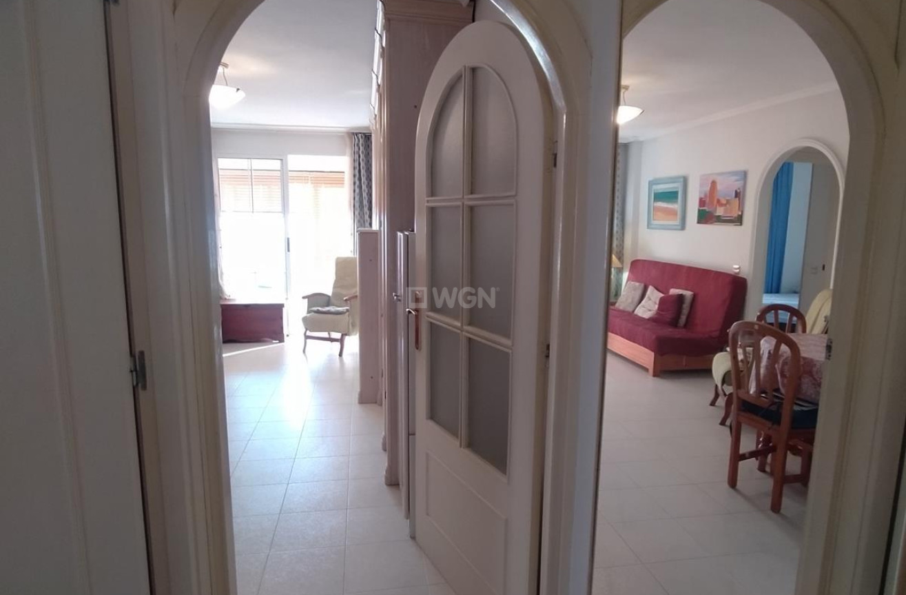 Reventa - Apartamento / piso - Torrevieja - Acequion