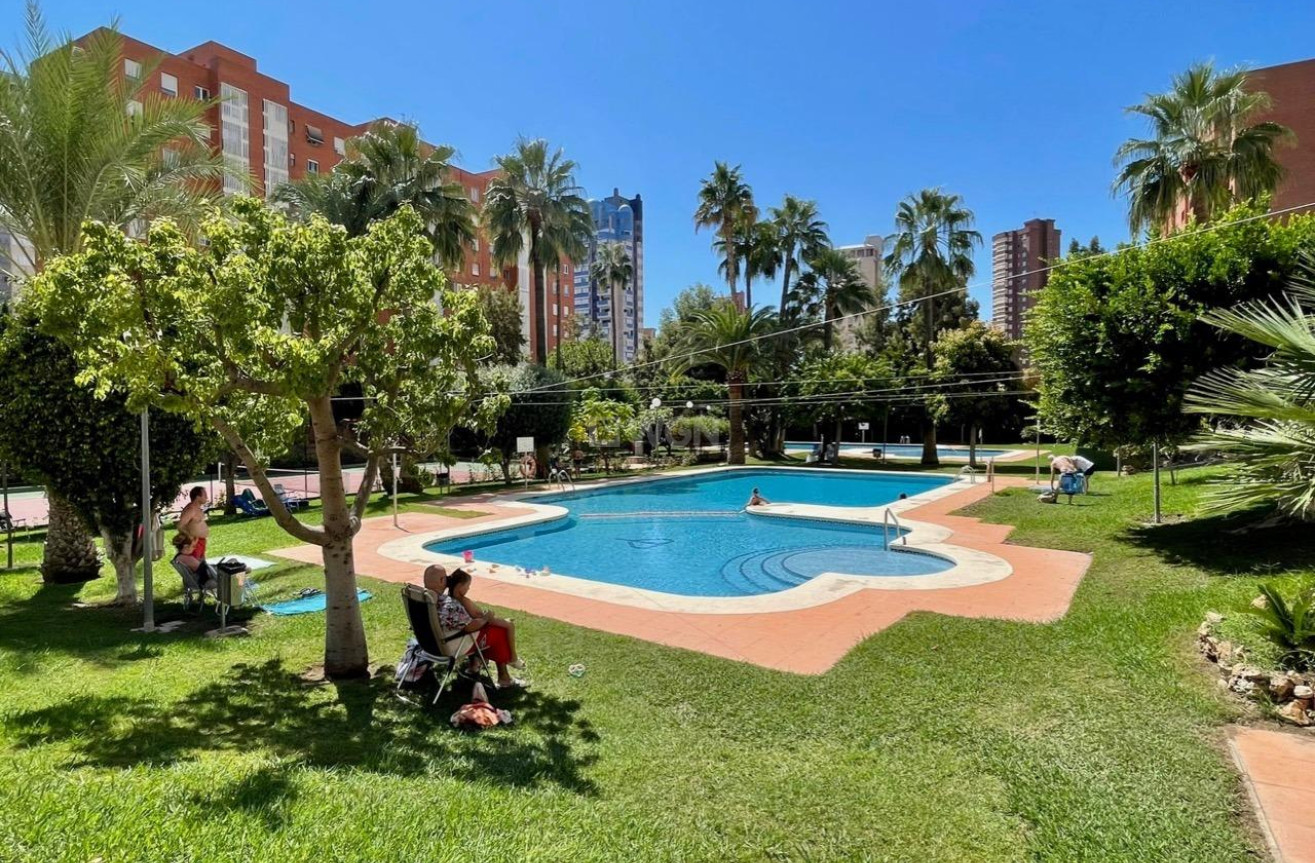 Reventa - Apartamento / piso - Benidorm - Rincón de Loix