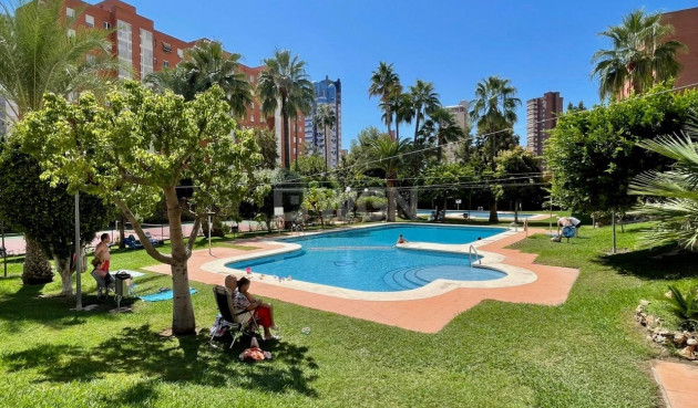 Resale - Apartment / flat - Benidorm - Rincón de Loix