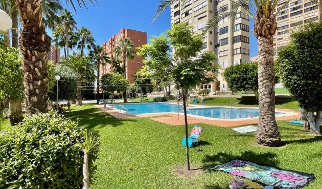 Reventa - Apartamento / piso - Benidorm - Rincón de Loix