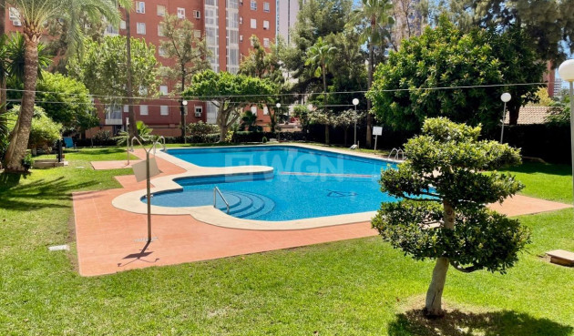 Reventa - Apartamento / piso - Benidorm - Rincón de Loix