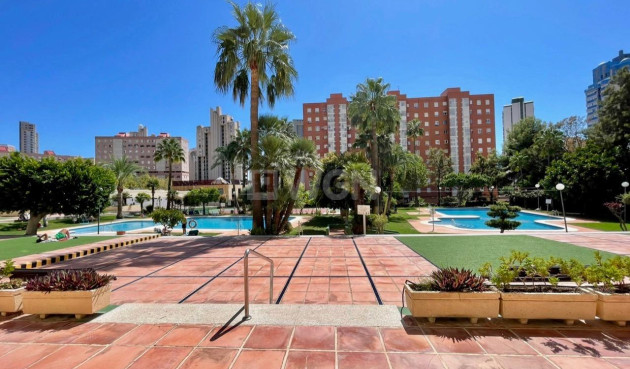 Resale - Apartment / flat - Benidorm - Rincón de Loix