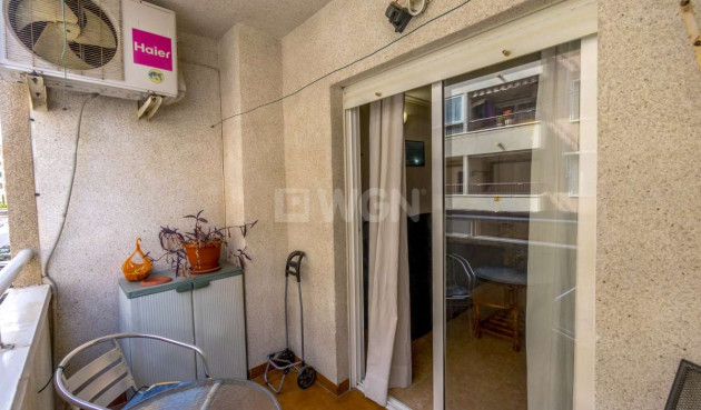 Resale - Apartment / flat - Torrevieja - Costa Blanca