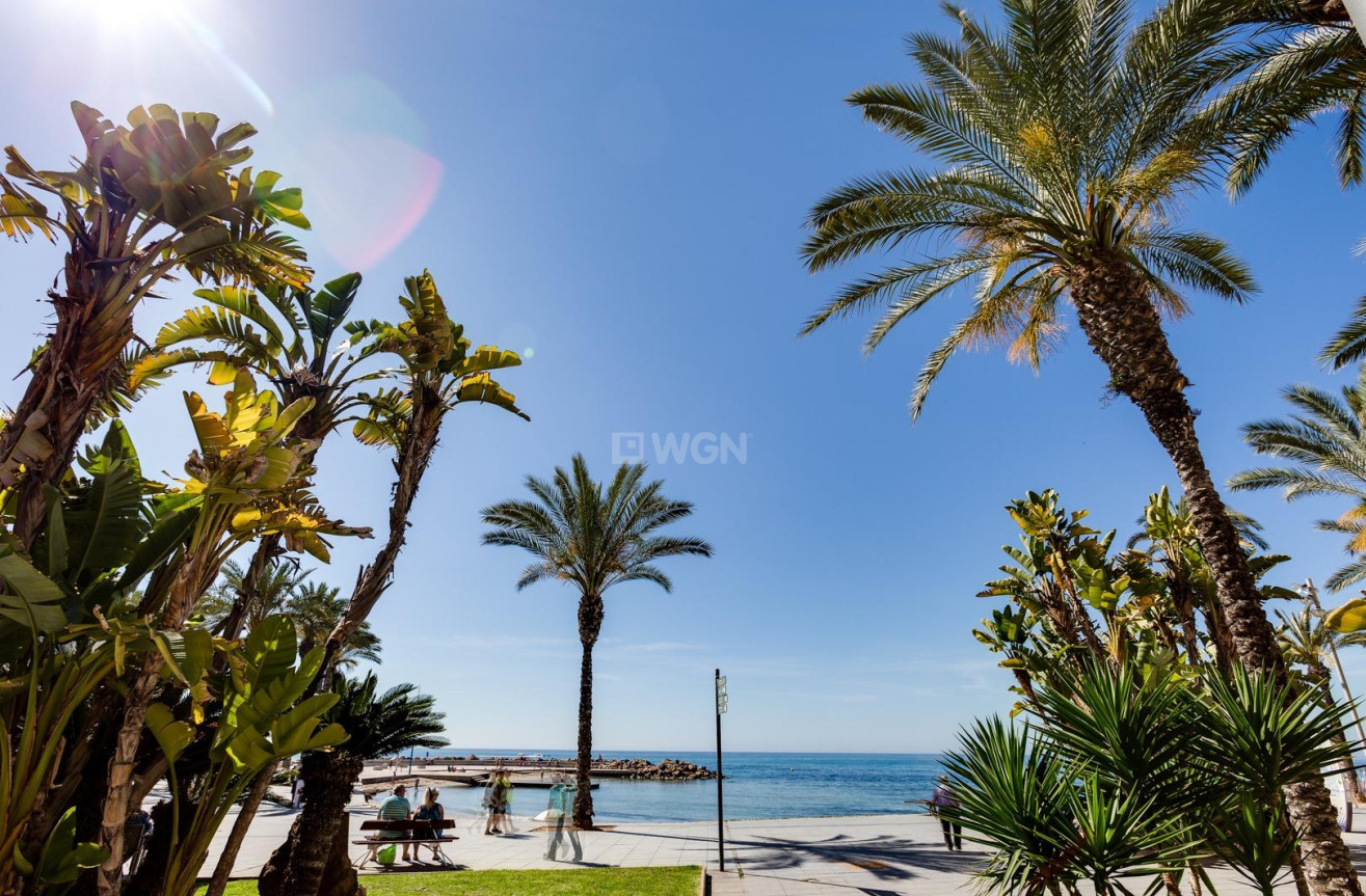 Reventa - Adosado - Torrevieja - Parque Las Naciones