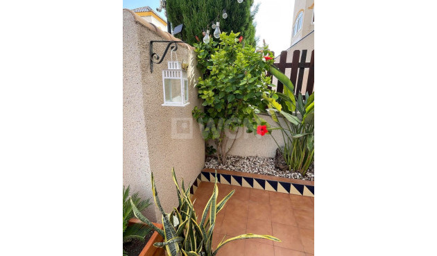 Resale - Apartment / flat - Guardamar del Segura - Costa Blanca