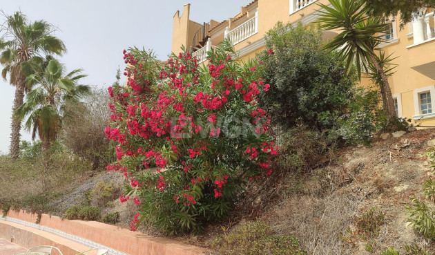 Reventa - Villa - San Fulgencio - Costa Blanca