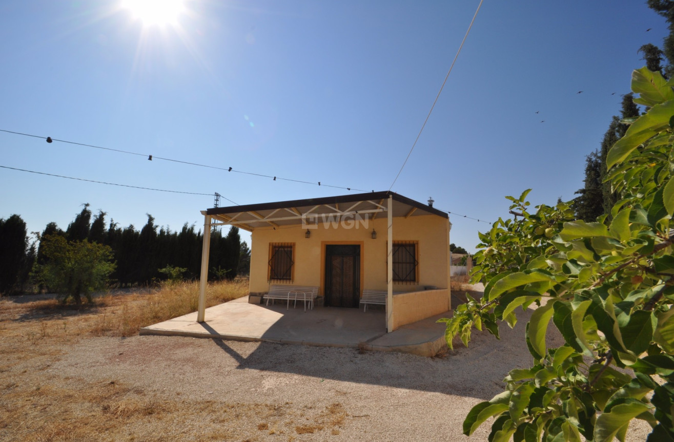 Odsprzedaż - Country House - Pinoso - Inland