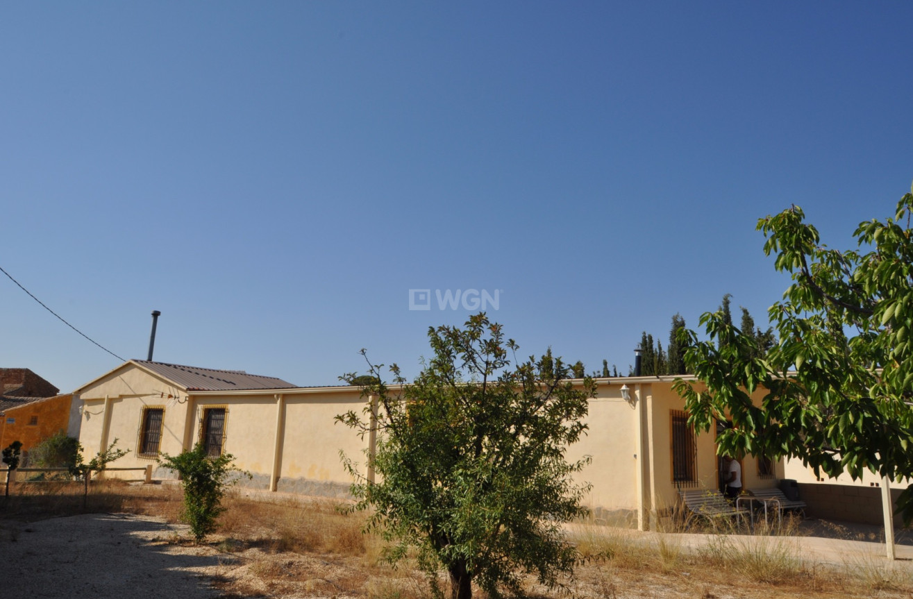 Resale - Country House - Pinoso - Inland