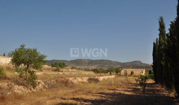 Resale - Country House - Pinoso - Inland