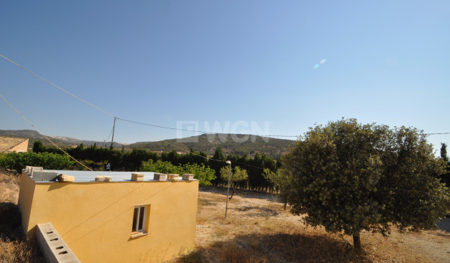 Reventa - Country House - Pinoso - Inland