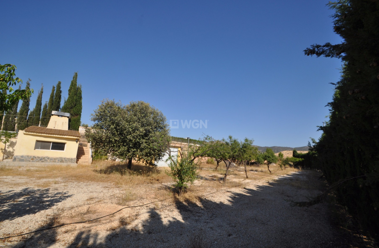 Resale - Country House - Pinoso - Inland