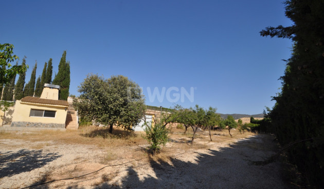 Resale - Country House - Pinoso - Inland