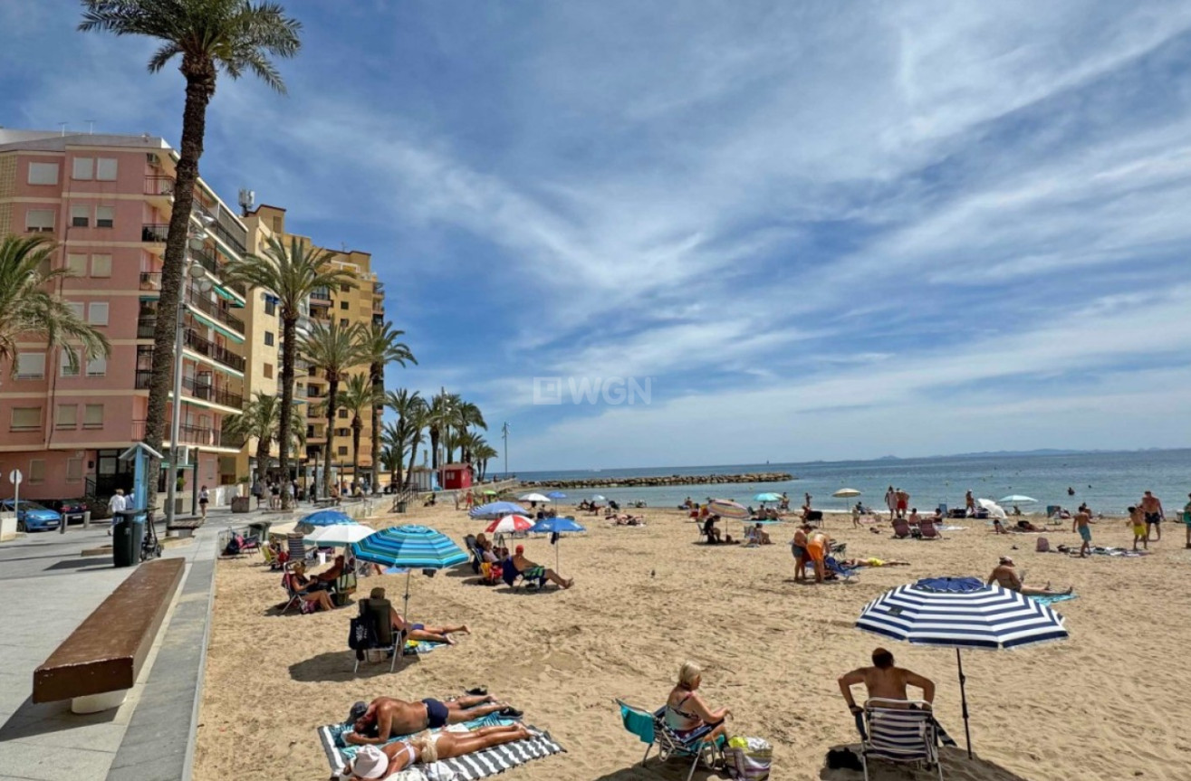 Odsprzedaż - Mieszkanie w bloku - Torrevieja - Costa Blanca