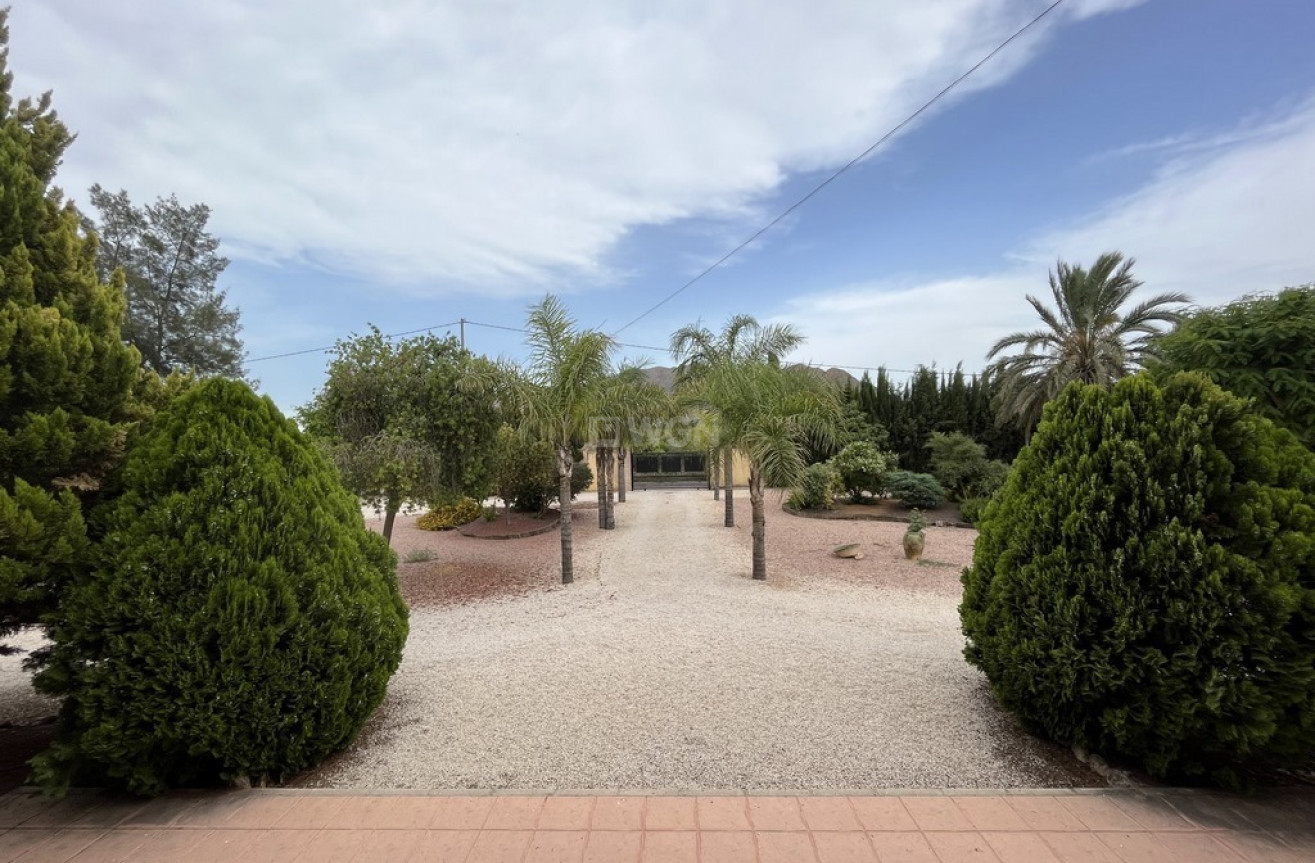 Reventa - Villa - Callosa de Segura - Callosilla