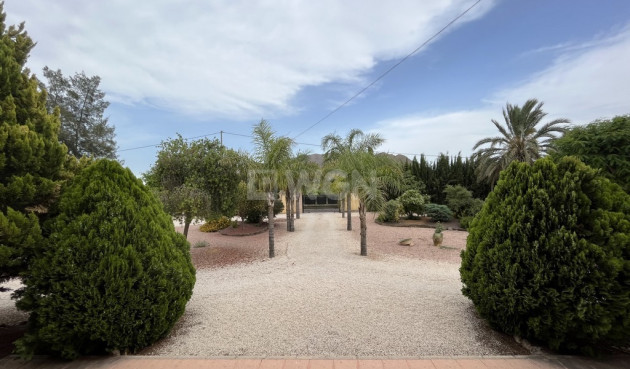 Resale - Villa - Callosa de Segura - Callosilla