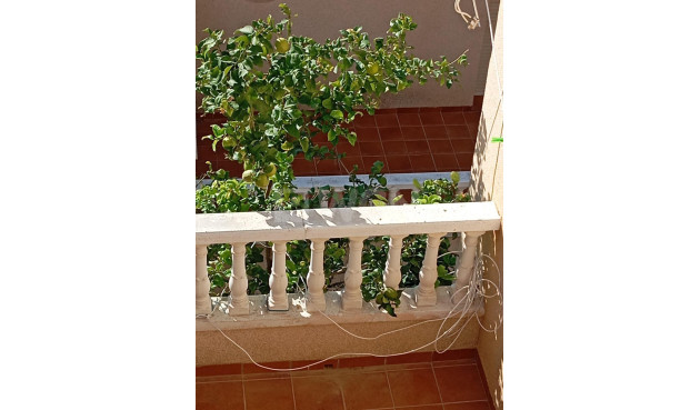 Resale - Bungalow - Orihuela Costa - PAU 26