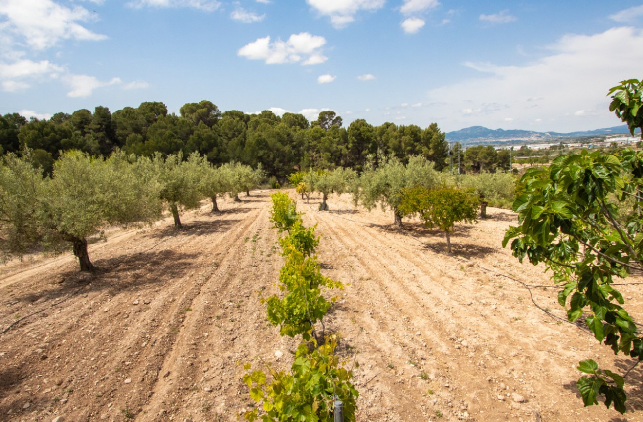 Odsprzedaż - Villa - Ibi - Costa Blanca