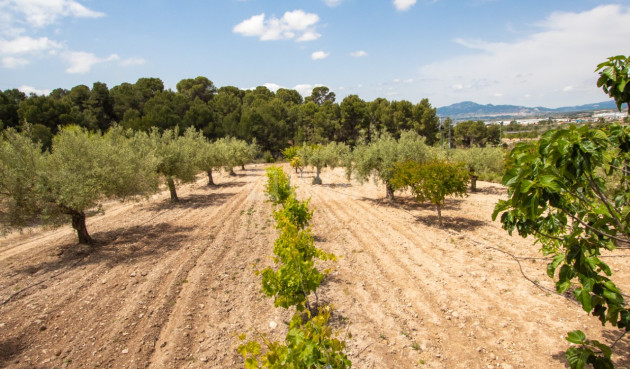 Odsprzedaż - Villa - Ibi - Costa Blanca