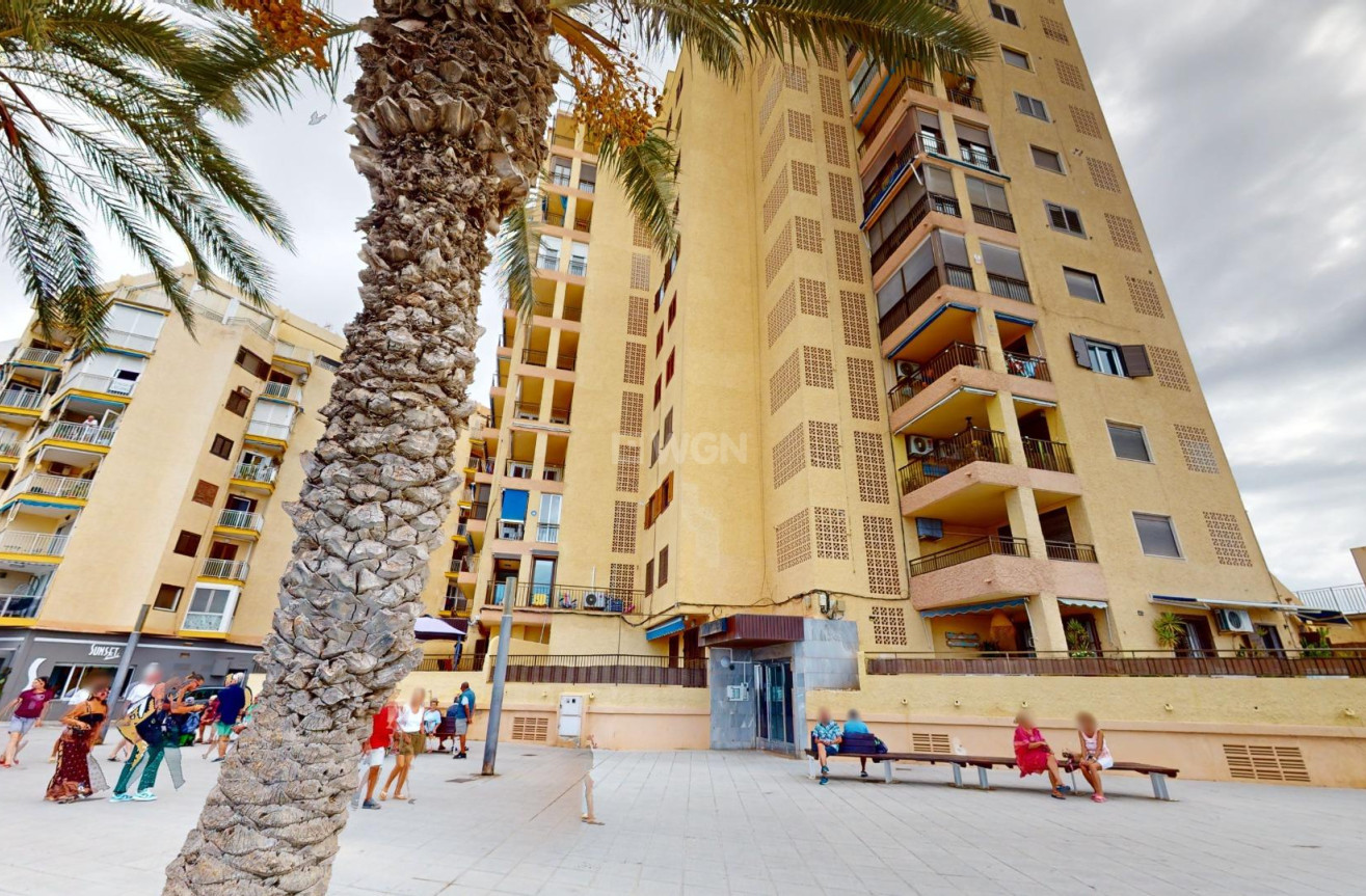 Odsprzedaż - Mieszkanie w bloku - Torrevieja - Playa del Cura